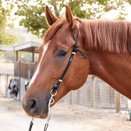 Berlin Custom Leather® Rope Headstall - Fort Brands