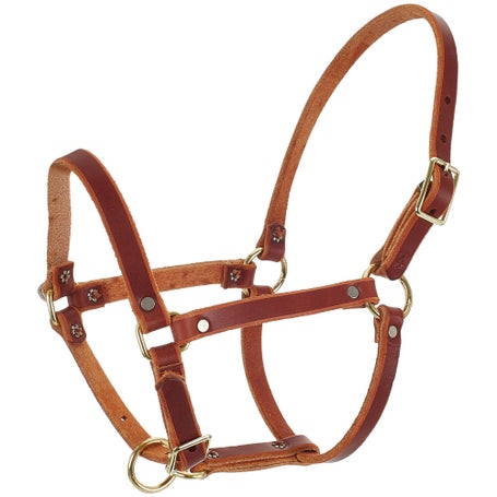 Berlin Leather Riveted Foal & Pony Halter 5/8
