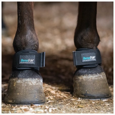 BeneFab Therapeutic Pastern Wraps