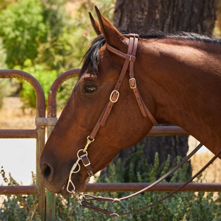 Berlin Hermann Oak Sliding One Ear Headstall w/Snaps