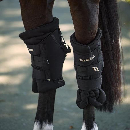 Back on Track Royal Padded Hock Boots Deluxe