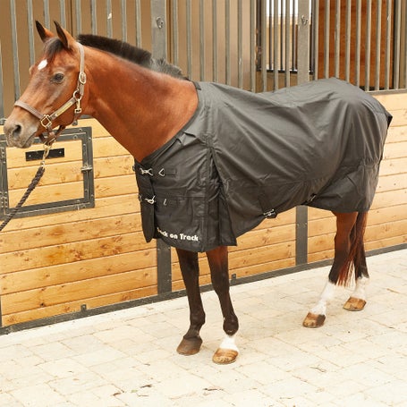 Back on Track Therapeutic Exercise Quarter Sheet — Warmblood Tack