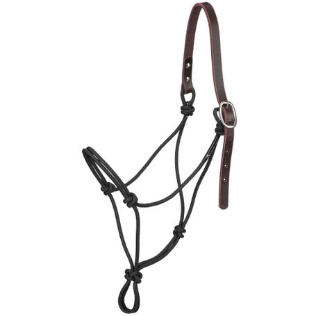 Knotty Girlz Stiff 2-Knot Leather Quick Release Halter