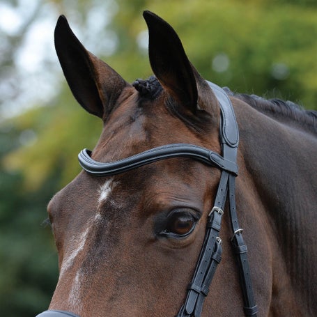 Collegiate ComFiTec Vogue Anatomical Bridle - Thumbnail 4