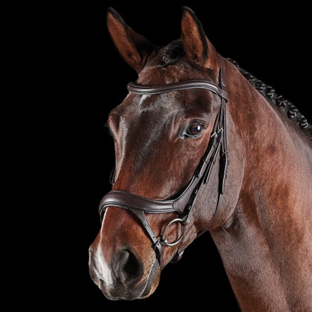 Collegiate Comfitec Vogue Anatomic Bridle