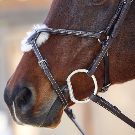 Collegiate Monocrown Raised Jumper Figure 8 Bridle