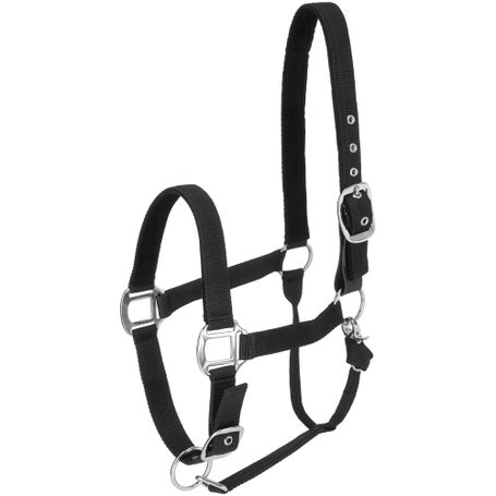 Centaur Cushion Web Nubuck Padded Safe Breakaway Halter