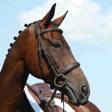 Collegiate Syntovia+ Synthetic Padded Raised Bridle - Thumbnail 2