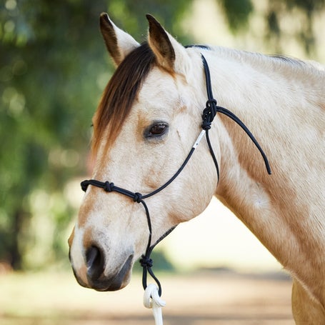 Halters  Shop Horse Halters Including Rope Halters, Western Show