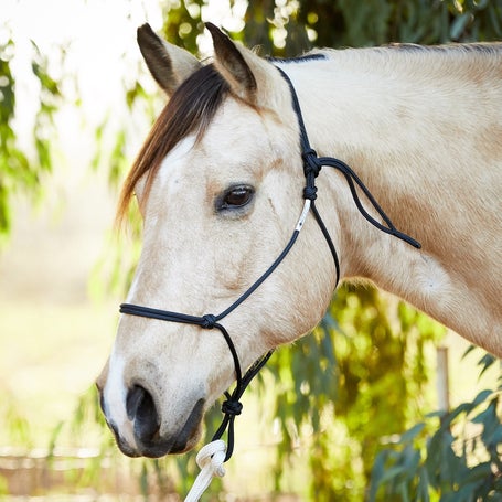 Blue  1/4 Double Braid Polyester Halter and Yacht Rope