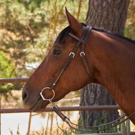 Circle Y Classic Spots Browband Headstall