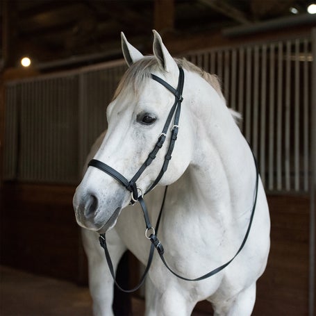 Dr. Cook Beta BioThane Bitless Bridle Headstall