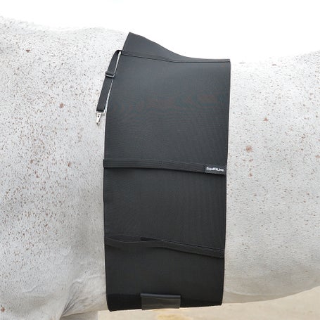 EquiFit Belly Band Guard for Spur Protection