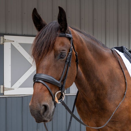 Equitare Cadence Dressage Bridle with Reins