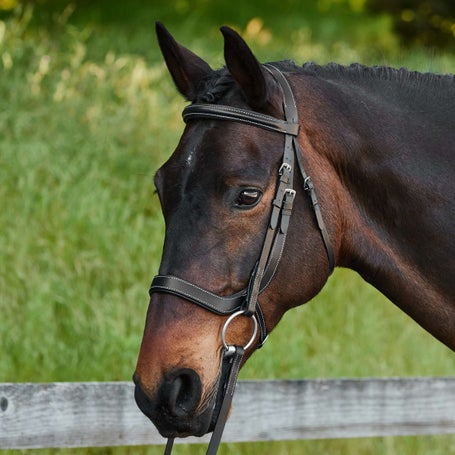 Equitare Cadence Ergonomic English Bridle w/Reins