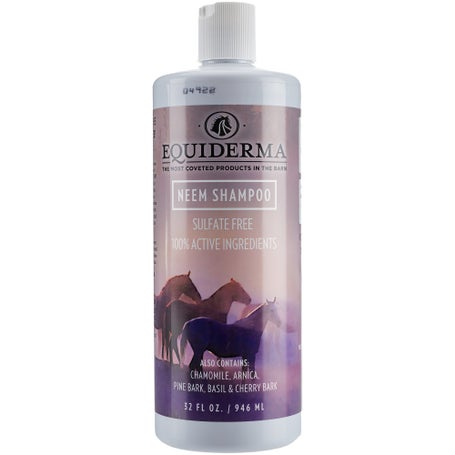 dyr Sporvogn mørk Equiderma Equine Neem Shampoo 32 oz. | Riding Warehouse