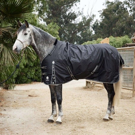 Equinavia Norse 600D Turnout Blanket 200g
