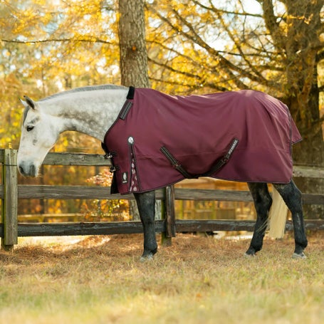Equinavia Norse Pony Turnout Sheet/Blanket 0g