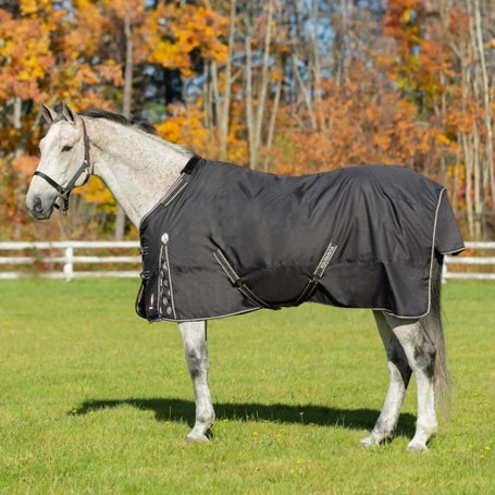 Equinavia Norse 600D Turnout Blanket 100g