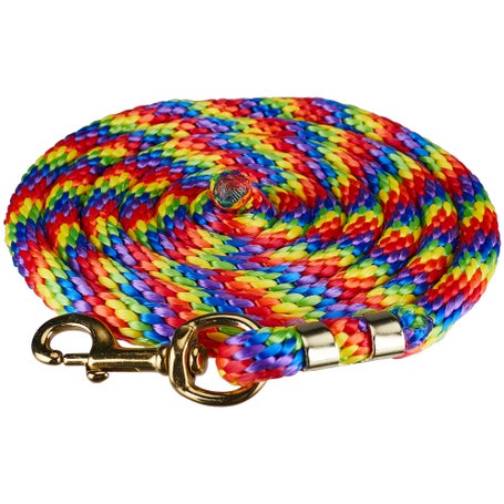 Epic Animal Brass Snap Poly Lead Rope-Rainbow Colors