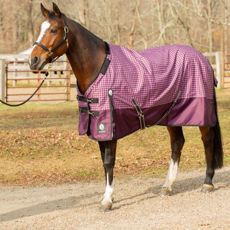 Equinavia Norse Light Turnout Blanket 100G