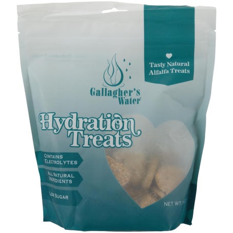 Gallaghers Water Equine Hydration Treats