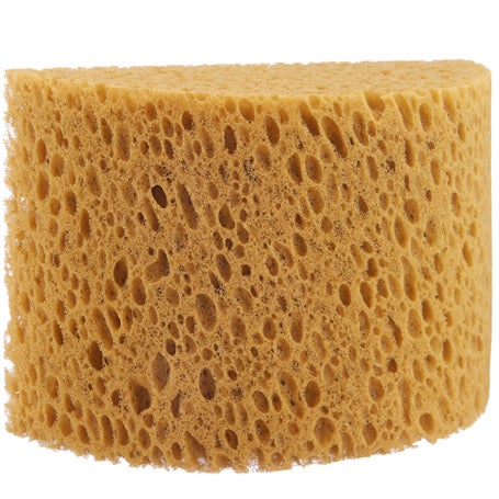 Honeycomb sea sponge for bathing (in 3D gift box)