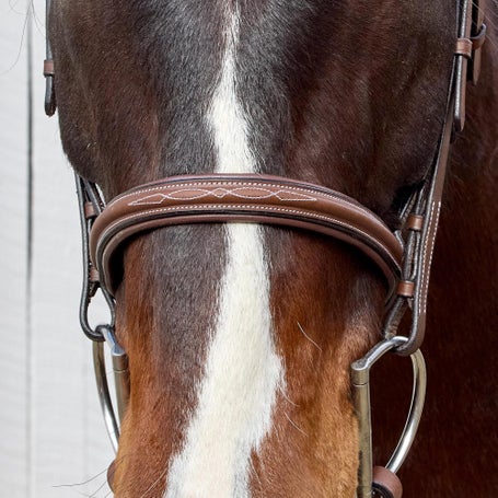 Henri de Rivel Pro Monocrown Bridle