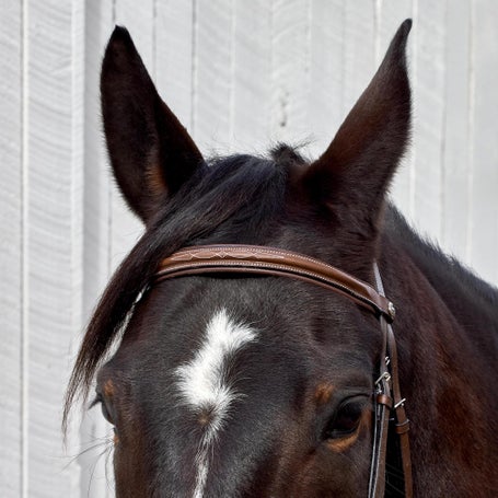 Henri de Rivel Pro Monocrown Bridle - Thumbnail 2