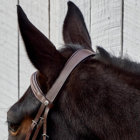 Henri de Rivel Pro Monocrown Bridle - Thumbnail 3