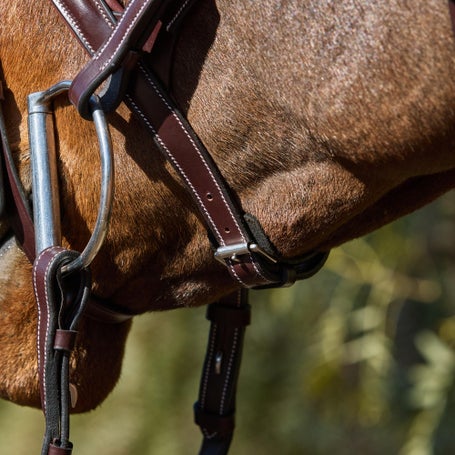 Replacement Throat Latch For Mono Crown Bridles - Henri De Rivel Australian Nut Oversize