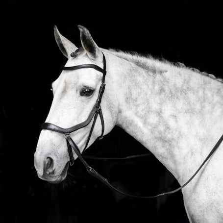 Horseware Micklem Bitless Bridle