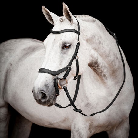 Horseware Micklem 2 Competition Bridle & Reins