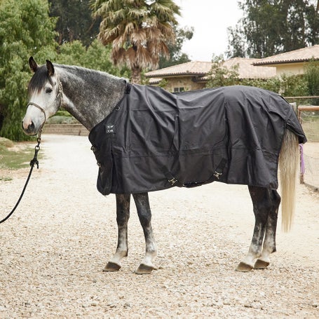 Horze Elastic Horse Blanket Leg Straps