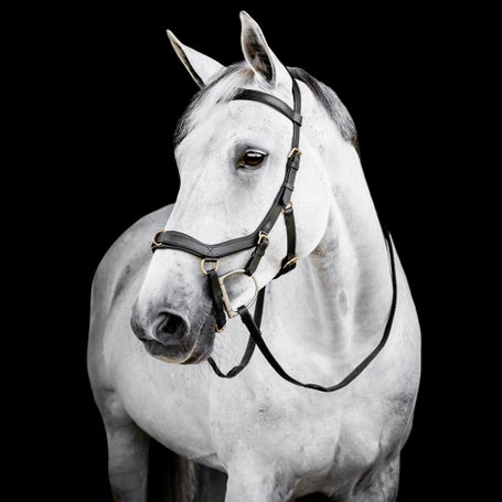 Horseware Rambo Micklem Multi Bridle