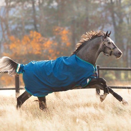 Horseware Rhino Original Turnout Lite Blanket 0g