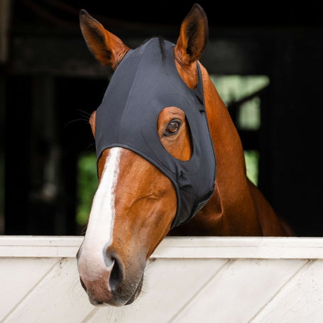Horseware Ionic Calming Face Mask