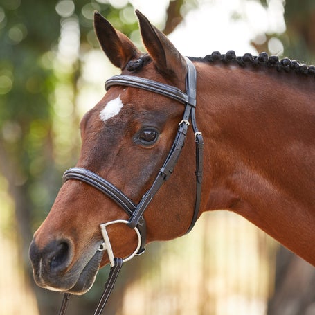 Kavalkade Akila Fancy Noseband Hunter Bridle & Reins