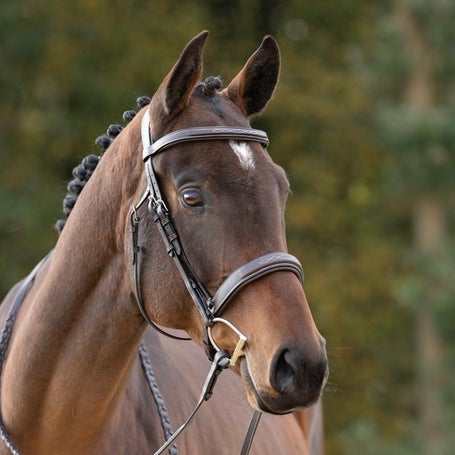 Kavalkade Benita Anatomical Adjustable Hunter Bridle