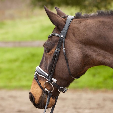 Kavalkade Charlotte Crank Dressage Bridle w/Flash