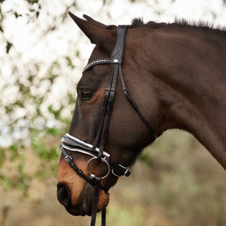 Kavalkade Charlotte Crank Dressage Bridle w/Flash