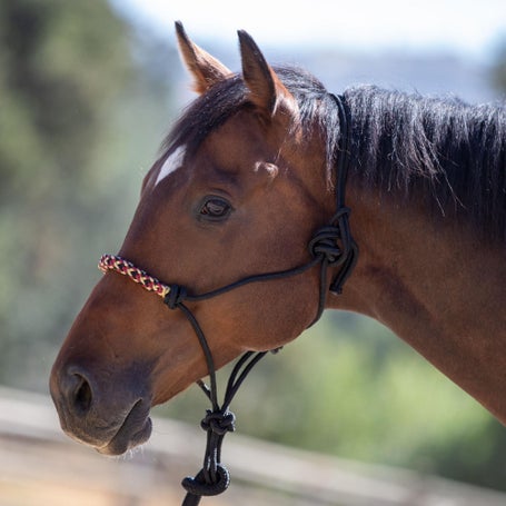 Kensington Clinician Rope Halter