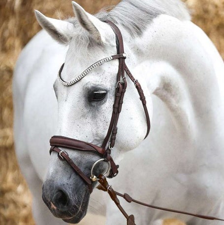 Kavalkade Everness Oiled Leather Flash Noseband Bridle