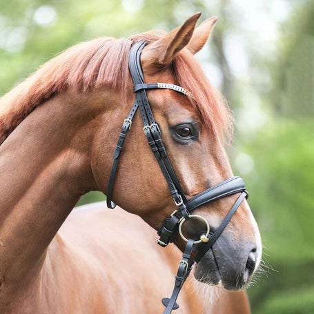 Kavalkade Everlyn KavalSH4 Oiled Leather Bridle & Reins