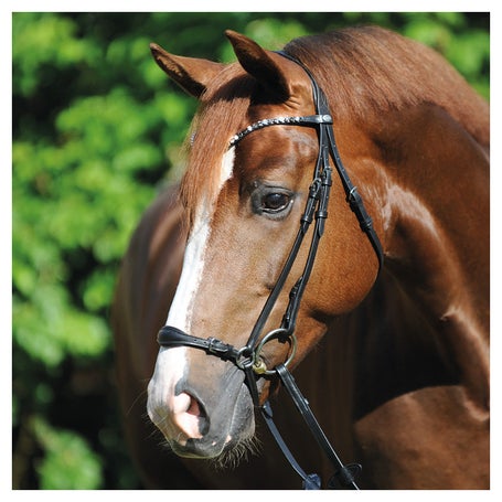 Kavalkade Fiala Drop Noseband Dressage Bridle