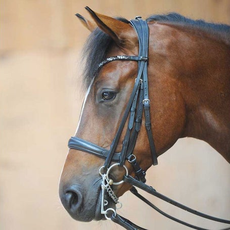 Kavalkade Ivonne Snaffle to Weymouth Anatomical Bridle