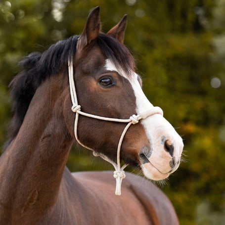 Kavalkade Knude 100% Cotton Soft Natural Rope Halter