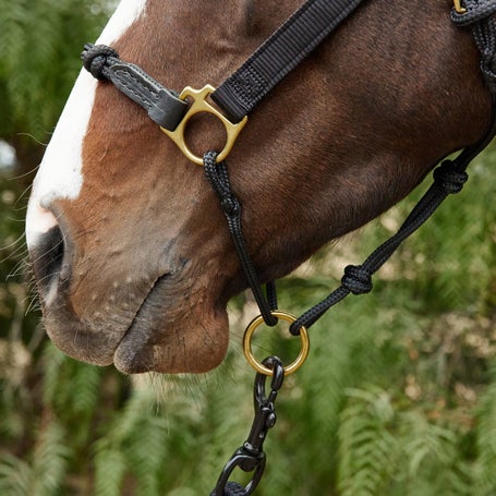 Hybrid Horse Halter: Ultimate Comfort and Durable Design Guide