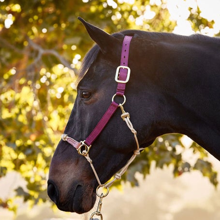 Weaver Rope Nylon Hybrid Horsemans Halter w/Side Ring