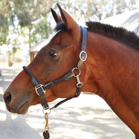 Kincade Leather Rope Headcollar - Full / Black